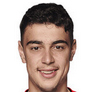 Football player A. Pavlović