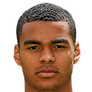 Football player C. Gakpo
