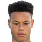 Football player Derry Scherhant