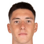 Football player D. Ferrer