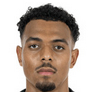 Football player D. Malen