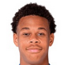 Football player Kévin Danois