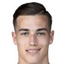 Football player L. Sucic