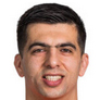 Football player Nediljko Labrović