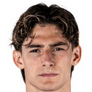 Football player N. Fortini