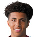 Football player R. Lewis