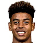 Football player Willem Geubbels
